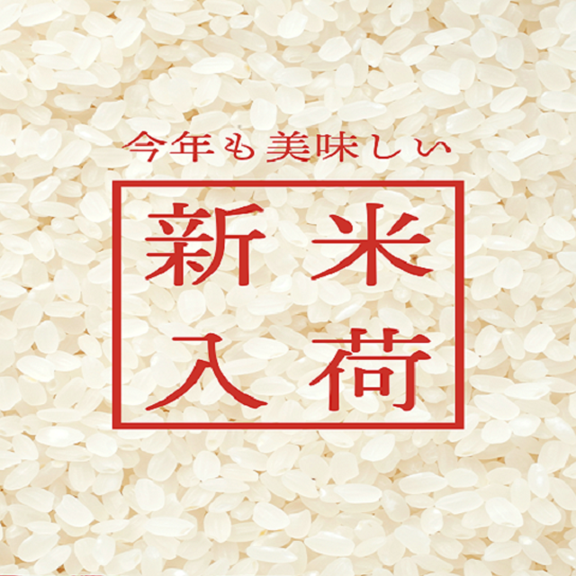 令和6年北海道産　白米ゆめぴりか(5キロ)